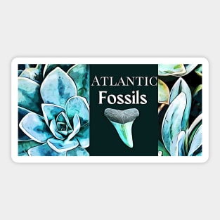 Succulents Beach Plants and Shark Teeth Sticker